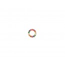 Gold Plated Silver Multicolor Circle Stud Earring