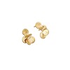 JOIDART Arai Golden Earrings